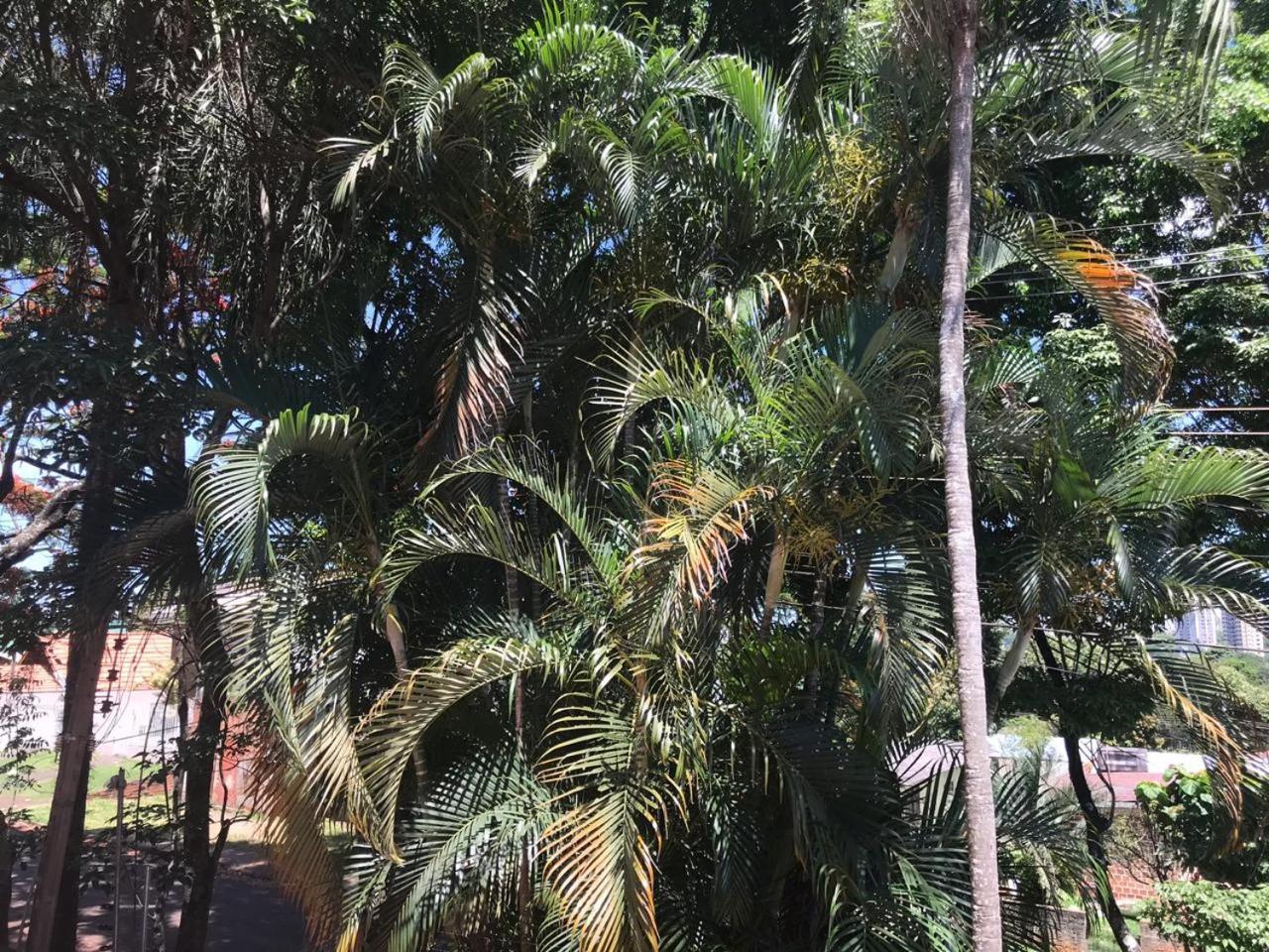 Suite Cardoso Foz do Iguaçu Eksteriør billede